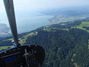 Pf�nder am Bodensee